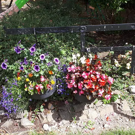 Bed & Breakfast Laurel Shannonbridge